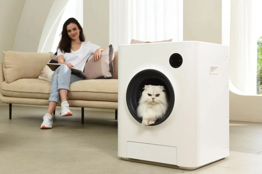kitty litter box that cleans itself